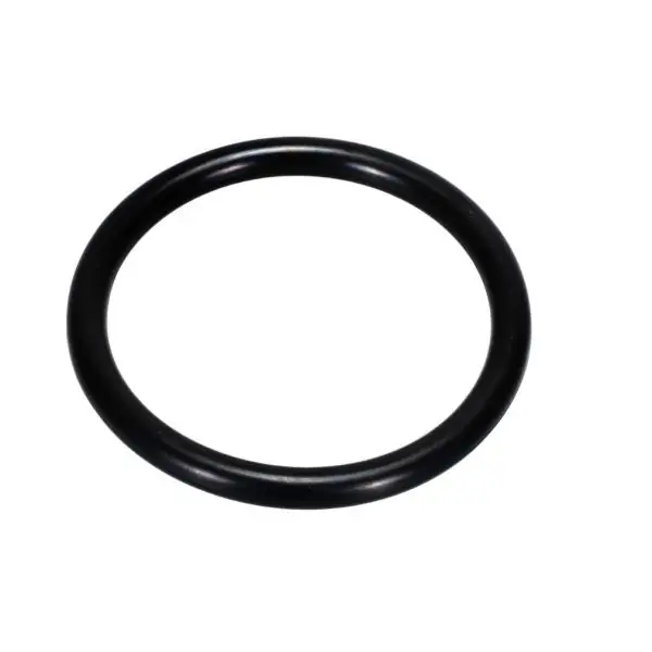 BELL & GOSSETT 122423 GASKET O-RING Ea
