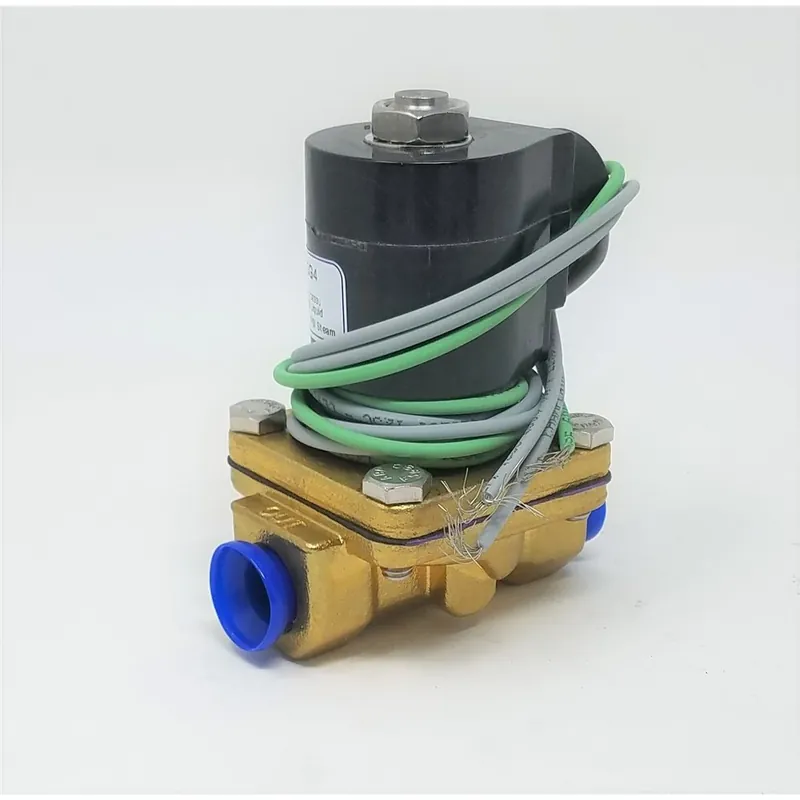 GC Valves S201GH01C5CG4 NC 24 Stm 3/8 2D 50# G4
