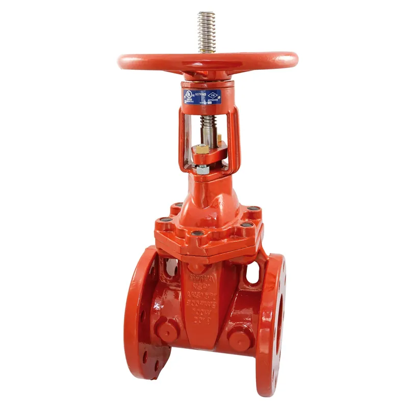 CHEMTROL NS2921XF F-607-RWSB Gate Valve With Ports 3 in