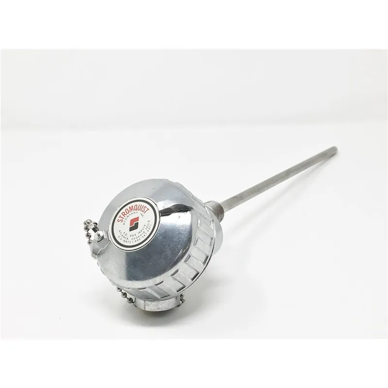 Pyromation J68G-012-00-6HN31 12in Type J-3/8in 316SS Sheath 1/2in NPT