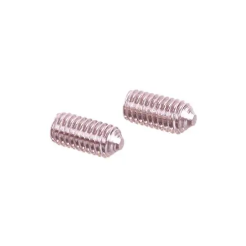 Bosch 10006811 Screw