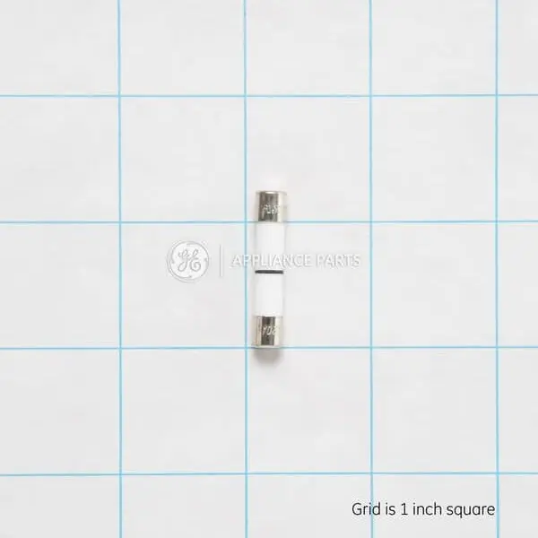 GE WB27X10928 FUSE 2 x 2 x 0.45