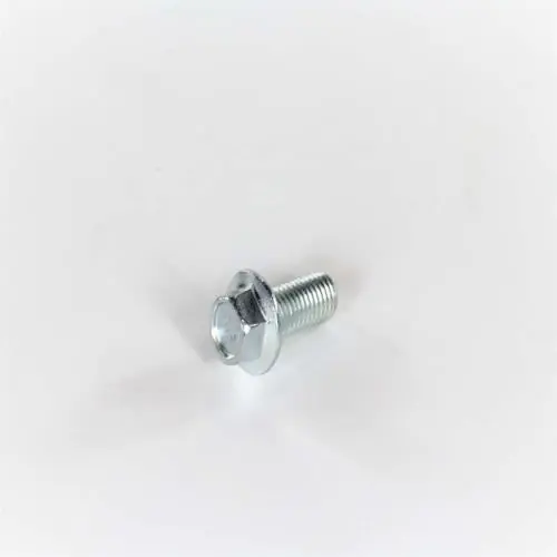 Electrolux 131303700 Screw Pulley Mtg M10 X 0.92 Replacement MPN