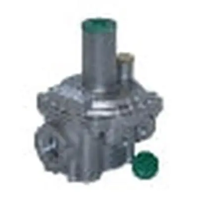 Pietro Fiorentini 28219 1-1/4 NPT 2# Black Spring Regulator