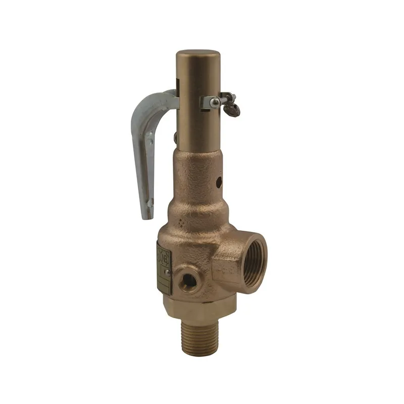 Conbraco 19KJHA100 2 Inlet, 2-1/2 Outlet, High Pressure Safety Valve 100 Max psi