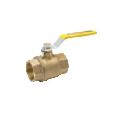 Proline 117-823 Ball Valve 1/2 In FNPT