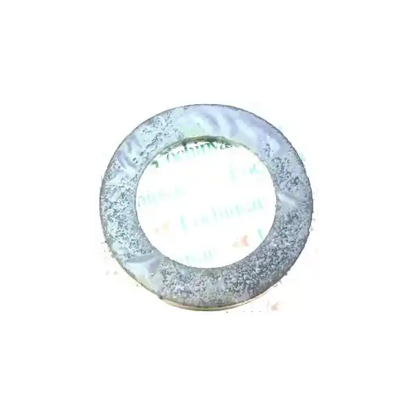 Lochinvar 100208768 Flange Gasket 2
