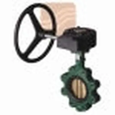 CRANE 66845270 Contractor Lug Style Butterfly Valve 8 in Nominal