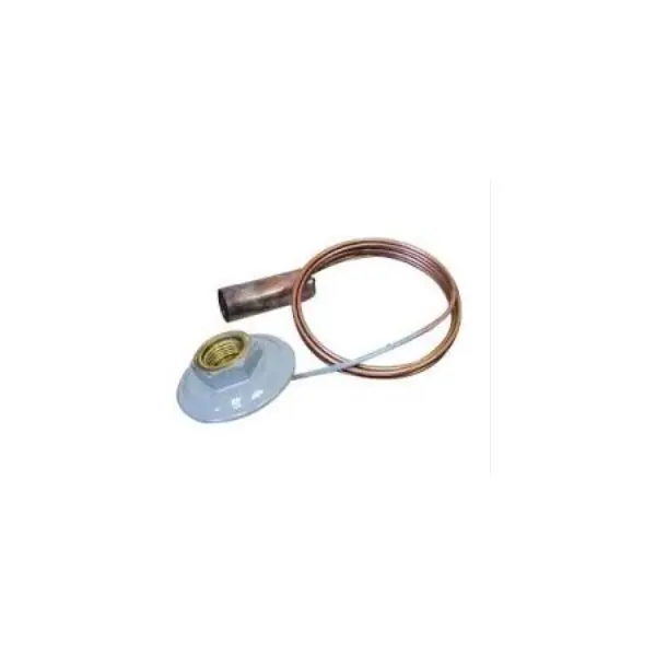 Sporlan 181126 R134A 5' Element TXV/EXV-Replacement Parts