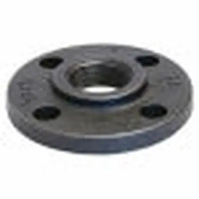 ANVIL 1X4B.NCF Companion Flange 1 in Nominal 125 lb