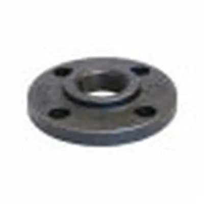 ANVIL 1B.NCF Flat Face Flange 125 lb 1-1/4 in Nominal