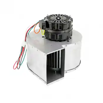 Loren Cook 719438 Blowr Assy 115V 1/16HP