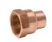 Mueller Industries W01524 3/8 X 1/2 In Copper Fitting X FNPT Reducing Adapter