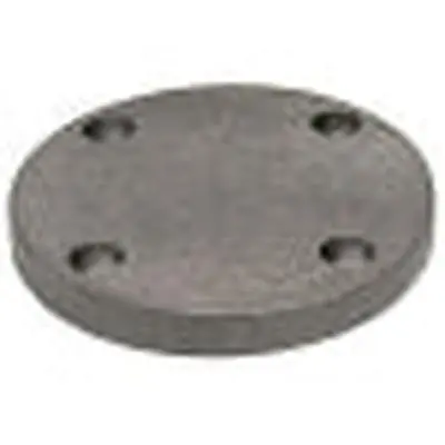 ANVIL 3X7D.NBF Blind Flange 3 in Nominal 125 lb