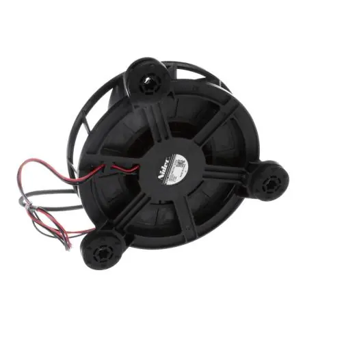 Bertazzoni Z300384 Brushless DC Motor