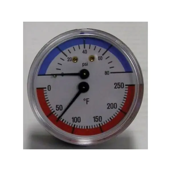 NTI 65118685 Pressure/Temperature Gauge