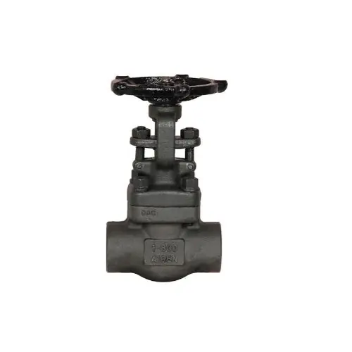 Warren Valve 2V852B-8THG Globe Valve 800# (2 In) Replacement MPN