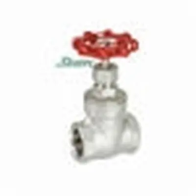 SHARPE 4371003280 Gate Valve 3/4 in Nominal FNPT End Style 200 lb