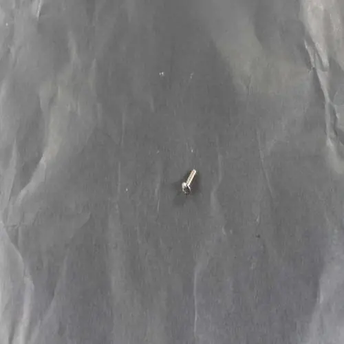 Bertazzoni Z290105 SCREW 1