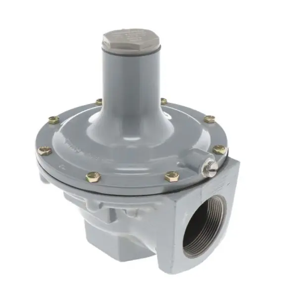 Fisher 289H-2 0.5-2.25# Spring 2Reg