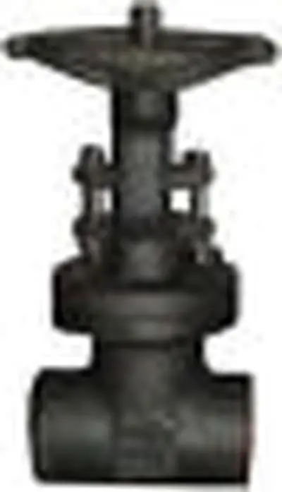 Roto Hammer 131112 2 Vogt #13111 800# FP Gate Valve Threaded