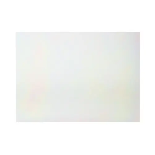 GE WB56T10350 Glass Oven Window