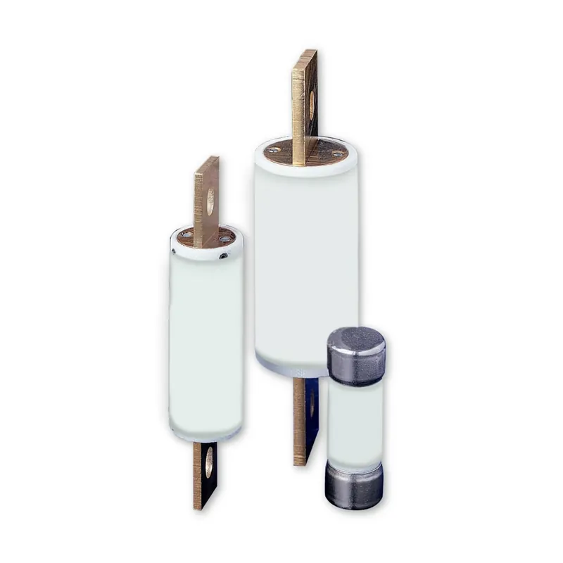 Littelfuse LDFJ010.T LDFJ Series Fuse 10A