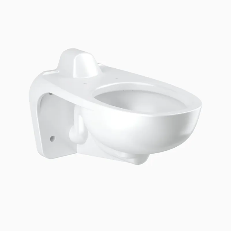 Sloan 2172469 ST2469A-STG CL FIXT ASM WM RS UNIV (2.0)