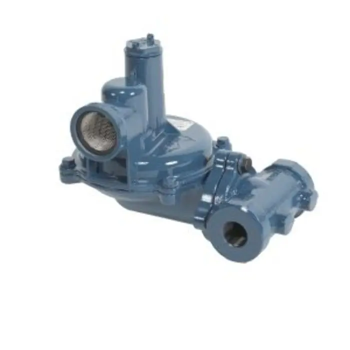 Norgas NGR02-ADA Gas Pressure Regulator 1/2 in. NPT