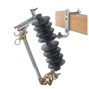 Hubbell Power Systems TP710112LZ024 Cutout 1110 kV BIL Polymer Type C