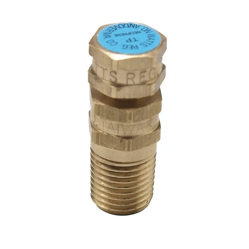 Watts 0123013 Series LFTP 1/2 in. Plug