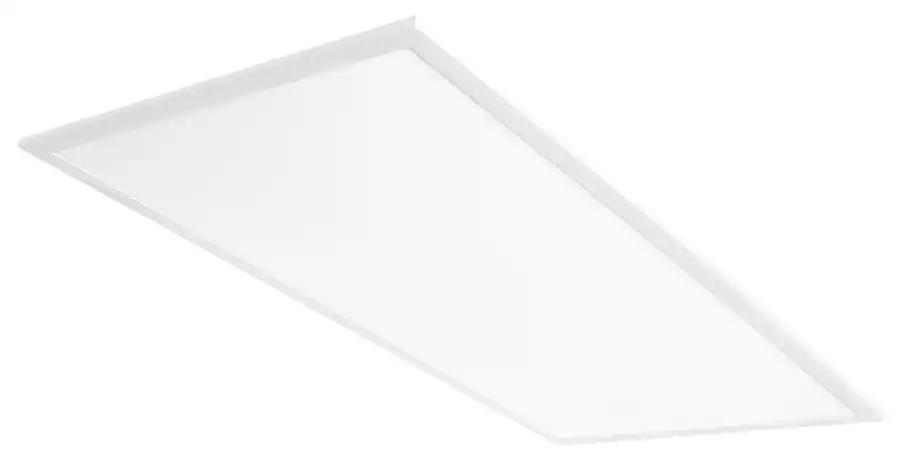 RAB EZPANHE2X4-46N/D10 46W LT FX
