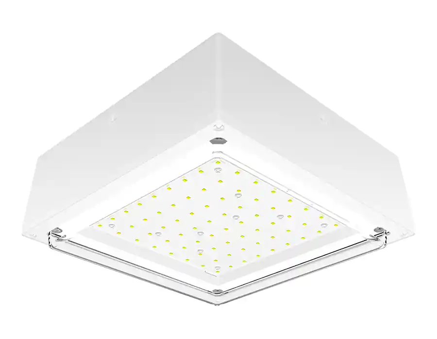 RAB VANLED20NW LED LT FX 20 Watts