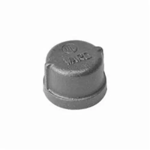 Ward Mfg 66246733110 D 1 Blk Mall Cap 1 in FNPT 150 lb