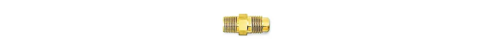 BesTech BTC1818 Access Valve - 1/4 Inch Male Flare x 1/8 Inch MPT Body - Brass Cap and Valve Core