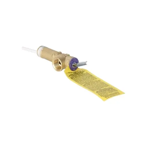 Rheem AP20404G Relief Valve Temperature and Pressure Forged