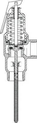 Sharkbite 19784-0150 Cash Acme Temperature and Pressure Relief Valve 1 in MNPT x FNPT 150 psi