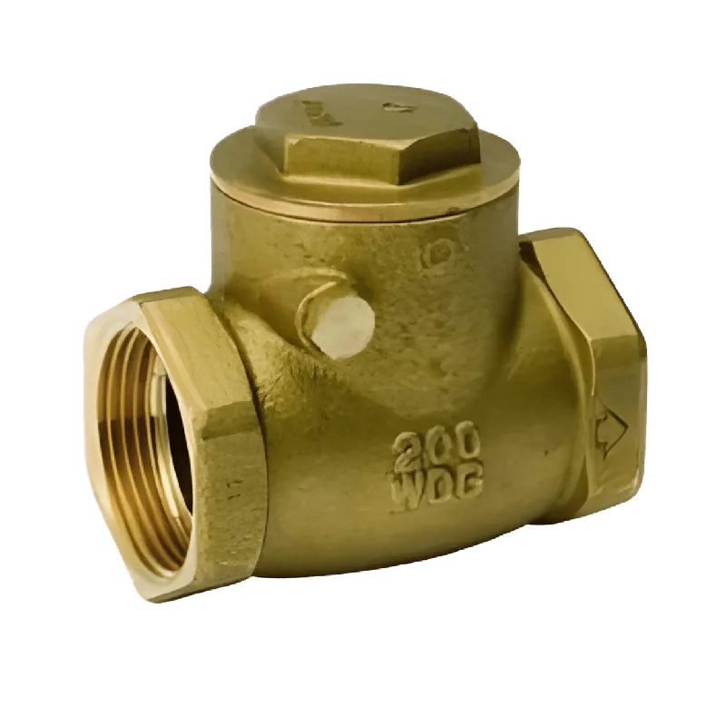 Matco-Norca 101-003NL 1/2 Inch Brass Swing Check Valve, Imported, Lead-Free, FIP x FIP