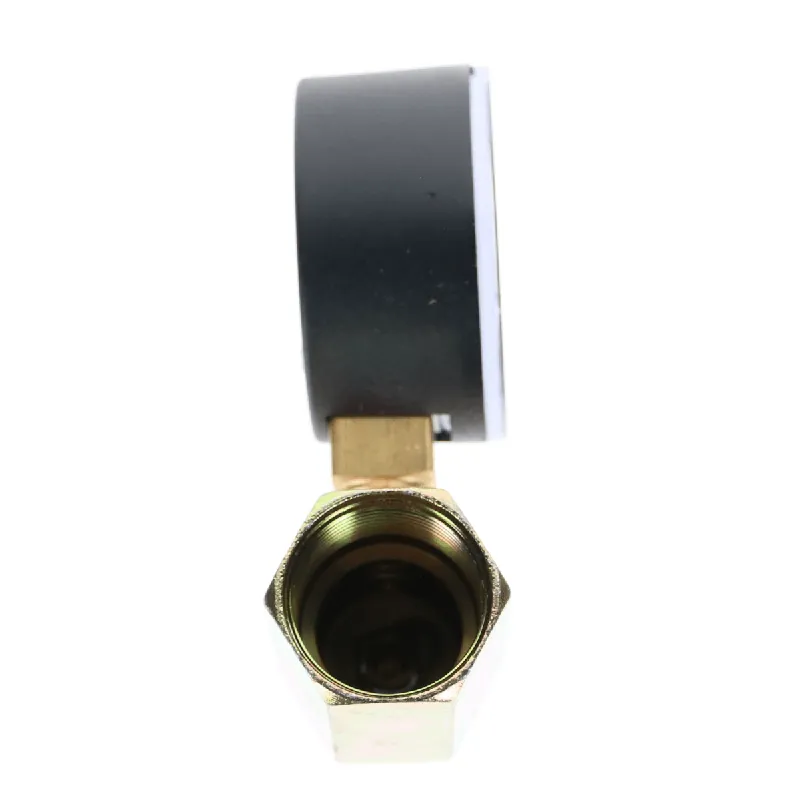 Pasco 1431 2-160# Water Test Gauge
