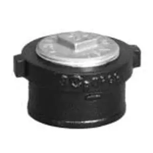 Tyler Pipe NH52S Soil Ferrule 2 in