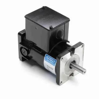 LEESON M1120013.00 DC Motor, 0.05 kW, 31 Frame, TENV