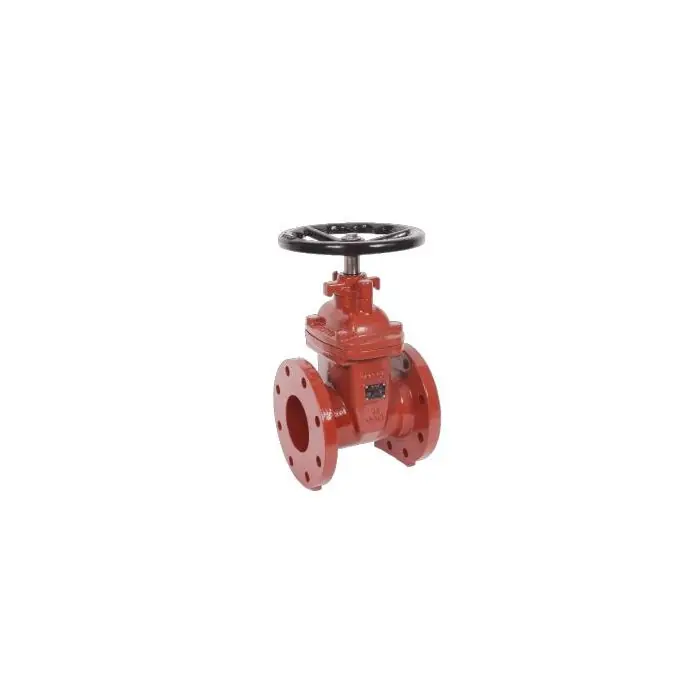 Matco V 225W09 Flanged Gate Valve 2-1/2 in