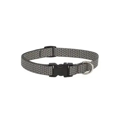TRUE VALUE TV223661 3/4x22 GRAN Dog Collar