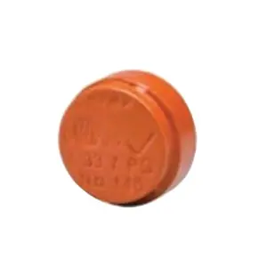 Victaulic F010146PBX Cap 1 in