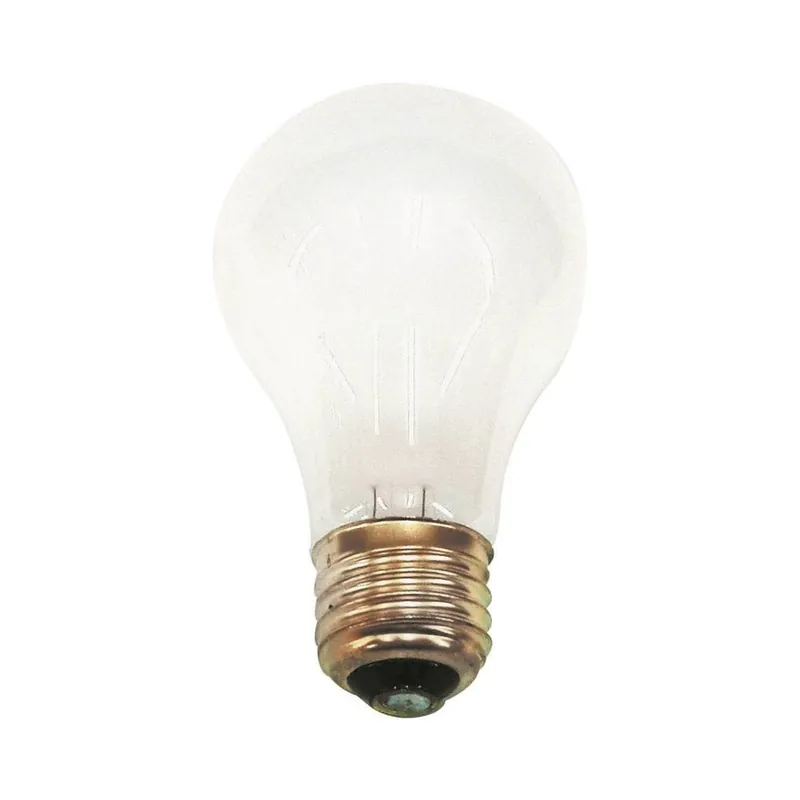 TRUE VALUE TV262457 100W RV Incand Bulb