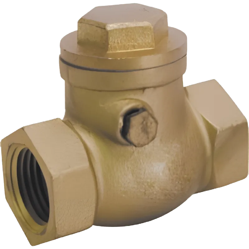 Matco-Norca 101-008NL 2 Inch Brass Swing Check Valve, Imported, Lead-Free, FIP x FIP