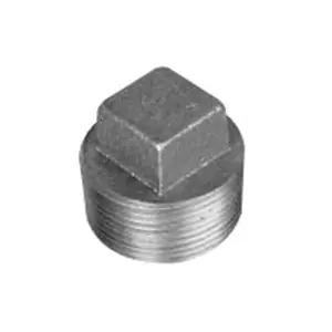Ward 1.NSP Square Head Solid Plug Class 125 1 in