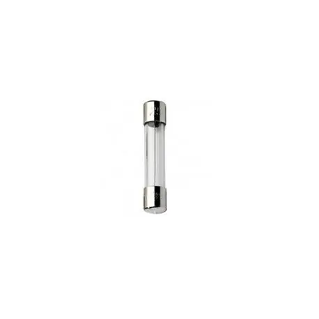 Mersen GGM10 Miniature Fuse Fast-Acting 250VAC 10A 5x20mm