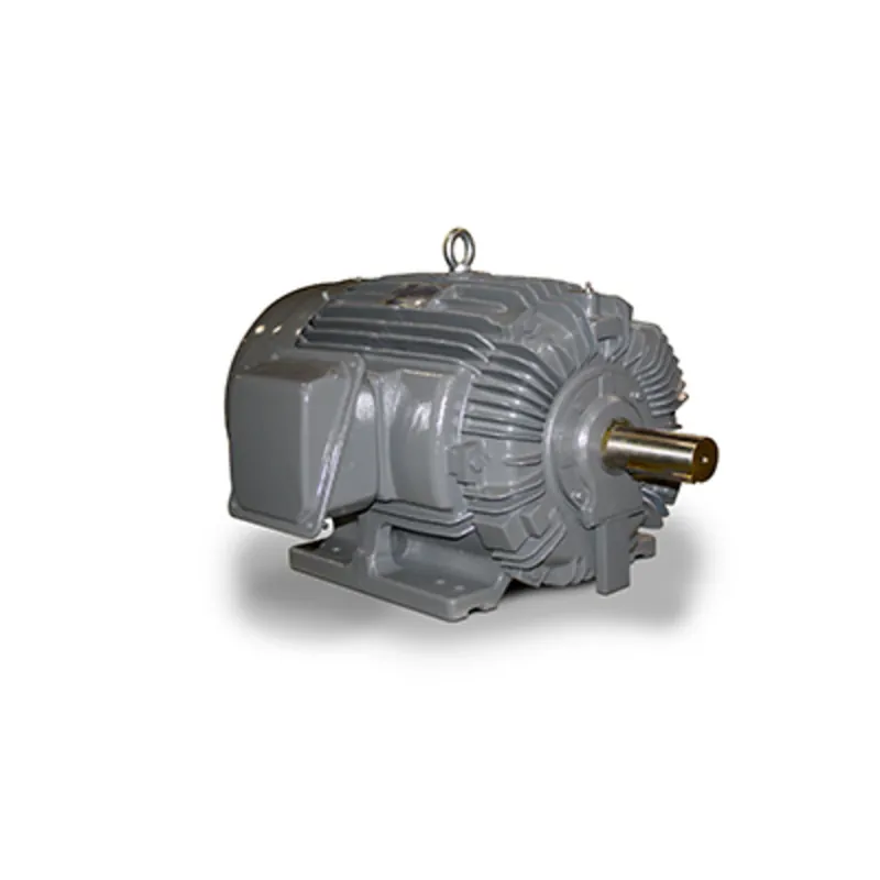 TECO NP0206 General Purpose Motor 20 HP Rigid Base