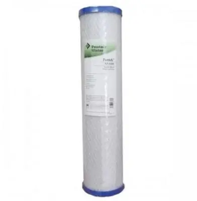 Pentek 155583-43 EP-20BB Carbon Block 5 Micron Water Filter